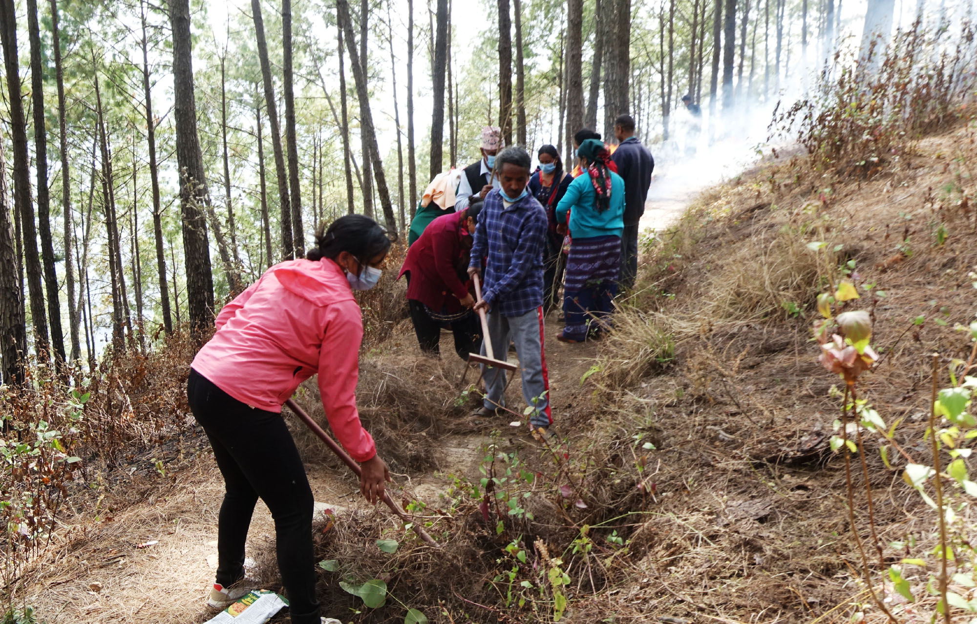 वन जोगाउन कस्सिए तानसेनका उपभोक्ता